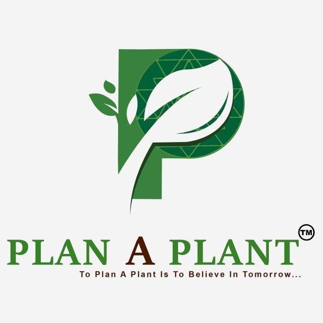 Plan A Plant